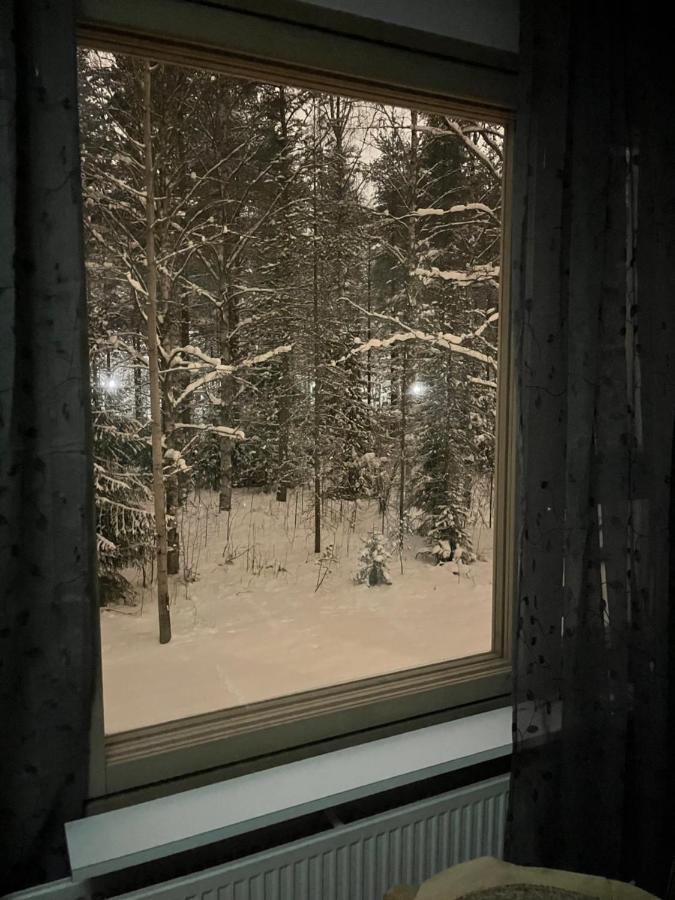 Apartment Ahkio North 罗瓦涅米 外观 照片